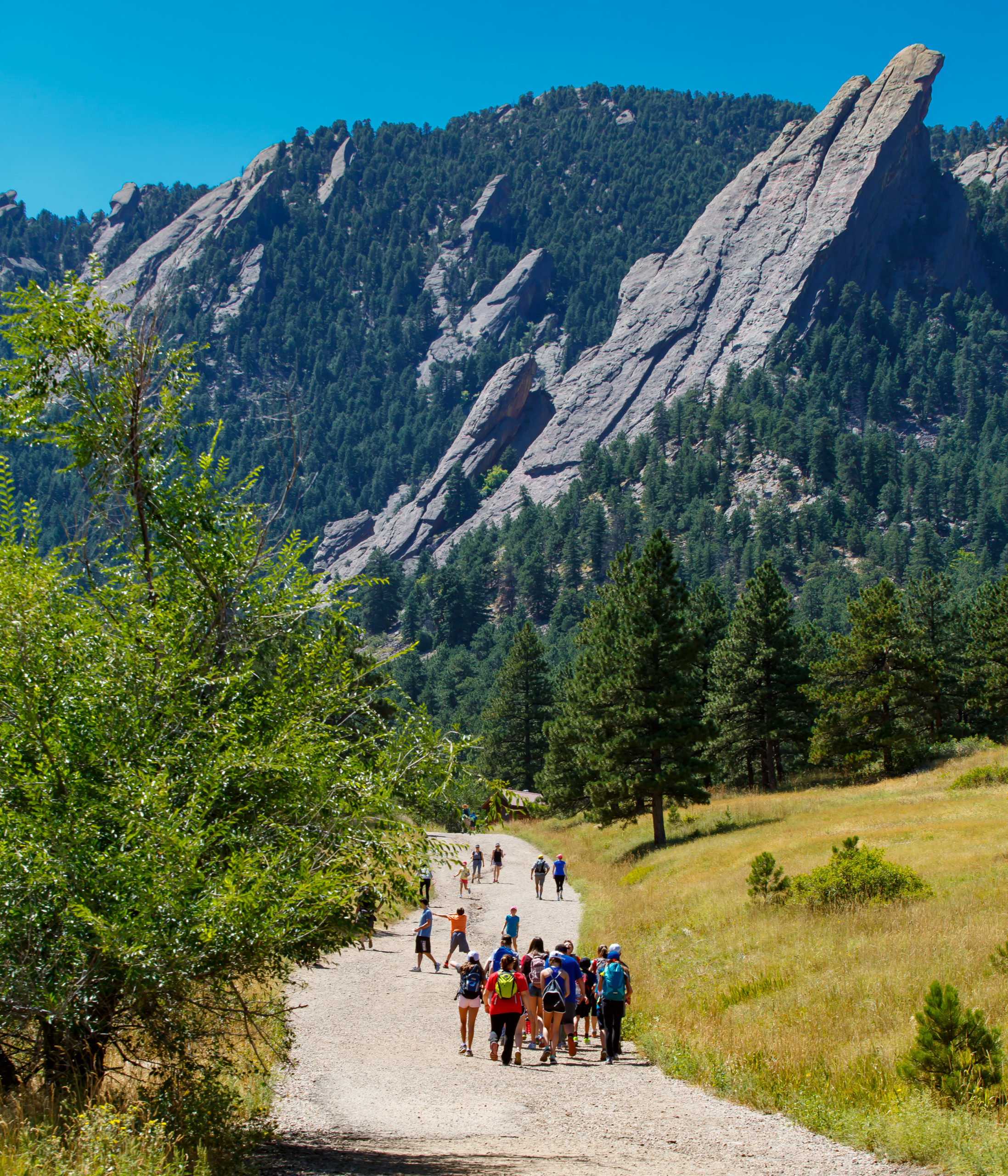 Adventure-Class-Opening-Hike-1861