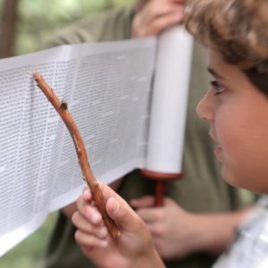 Individual Bar Mitzvah & Bat Mitzvah Studies Without a Ceremony