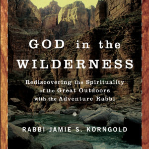 God In the Wilderness book by Rabbi Jamie Korngold