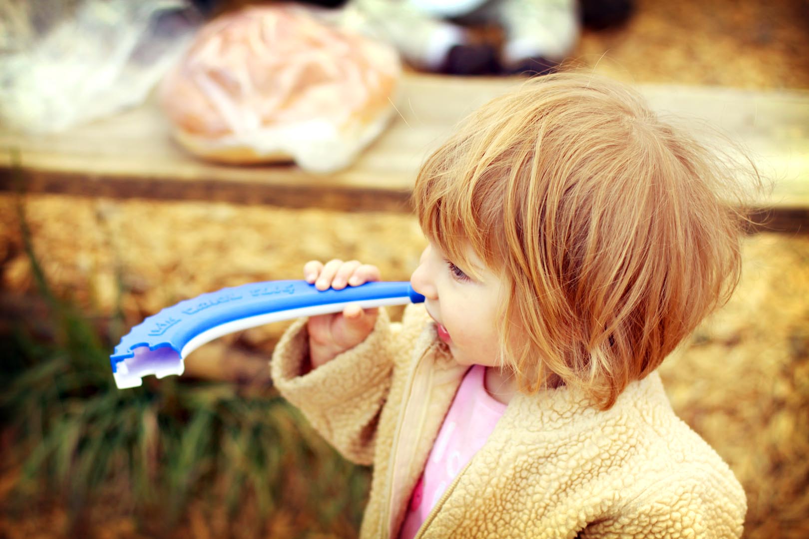 AAlternative Jewish Sunday School Colorado
