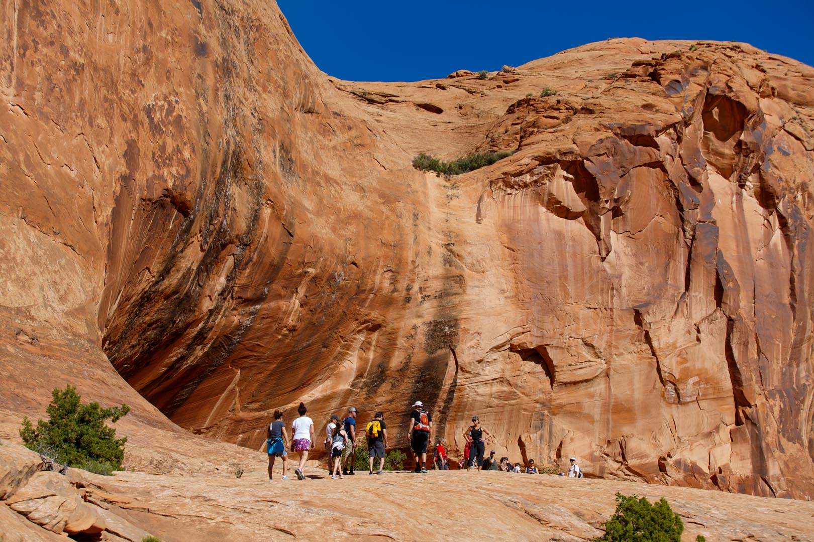 Passover Vehicle Camper (van, RV, pop-up, tear-drop etc.)