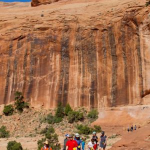 Passover in Moab Non-Member Registration