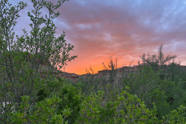 How to Find Our Guides