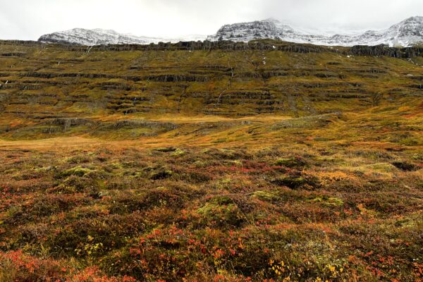 Omer: A Practice You Can Count On